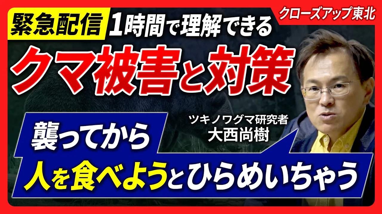 クマ被害と対策