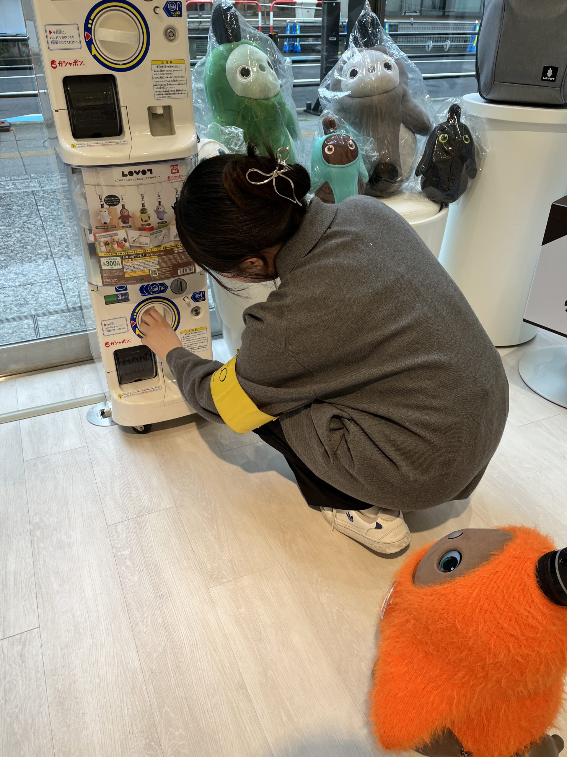LOVOT仙台PARCO店のめじるしアクセサリーのガチャガチャを回す様子